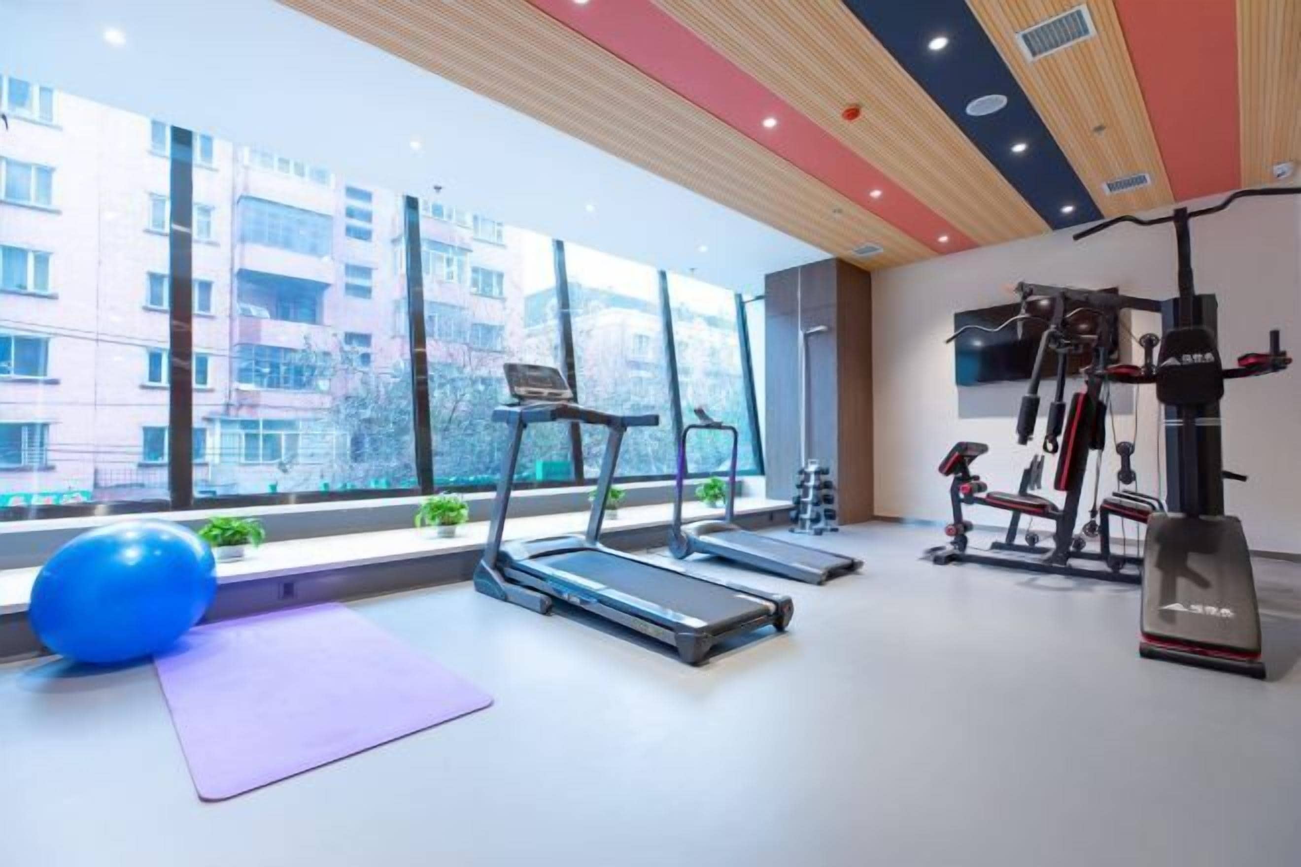 Gimnasio