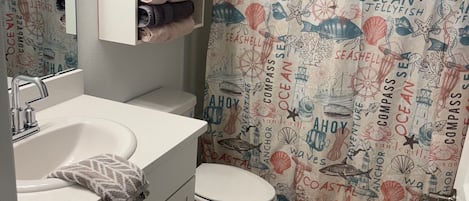 Hair dryer, towels, soap, toilet paper