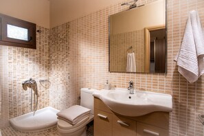 Douche, séchoir à cheveux, serviettes fournies