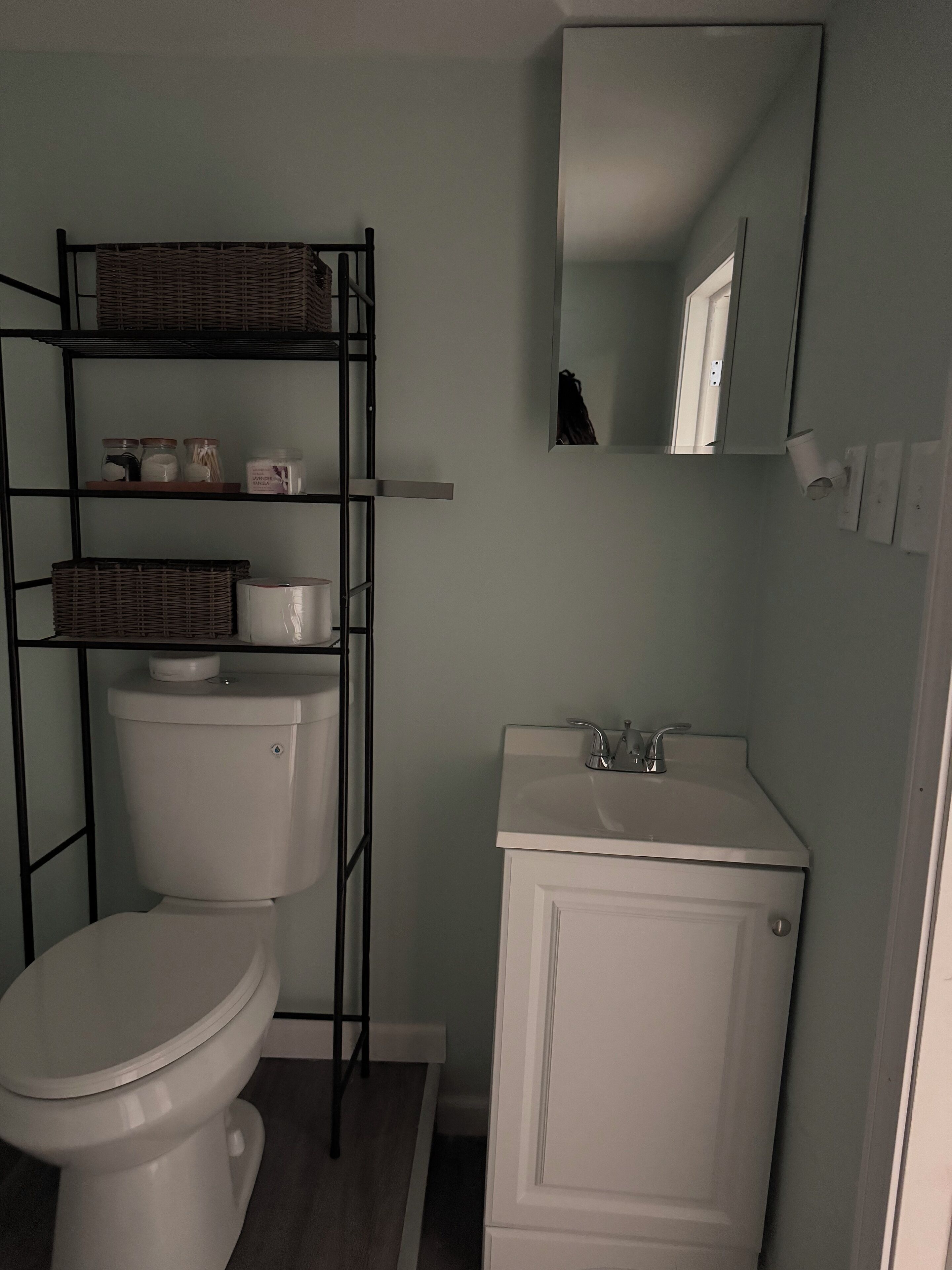 A bathroom with a toilet, a sink, a mirror, and shelves with toiletries.