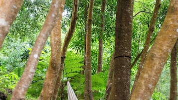 Overnatningsstedets område