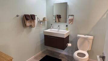 Hair dryer, towels, soap, shampoo