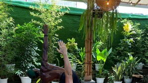 A person performing a yoga pose on an orange mat in an outdoor setting with potted plants and a green artificial grass backdrop.