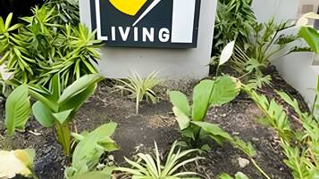 Detall de l'exterior