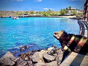 Miscellaneous - Sol y Mar Guest House (San Cristóbal)