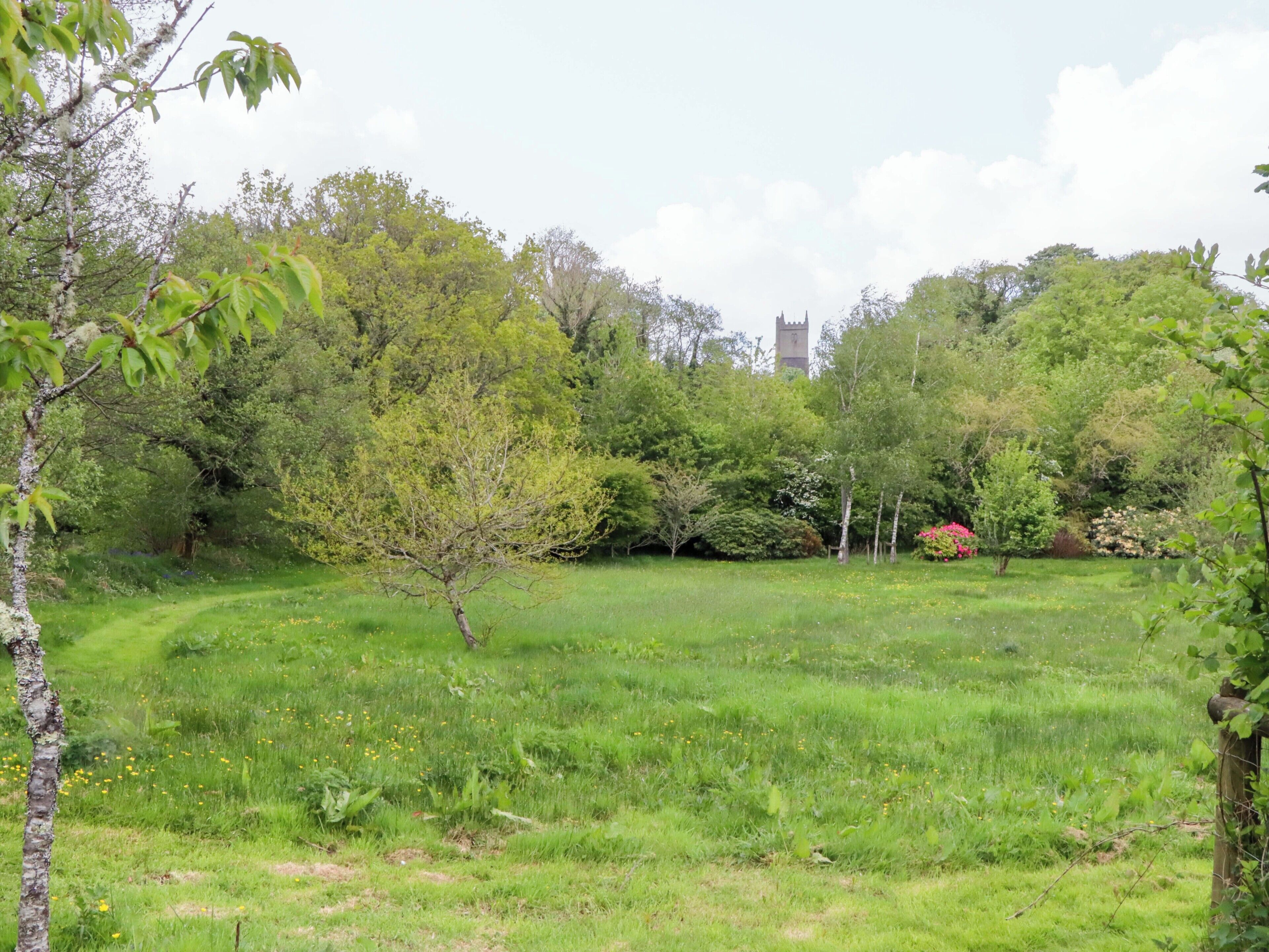 Un campo cubierto de hierba con árboles y una torre al fondo.