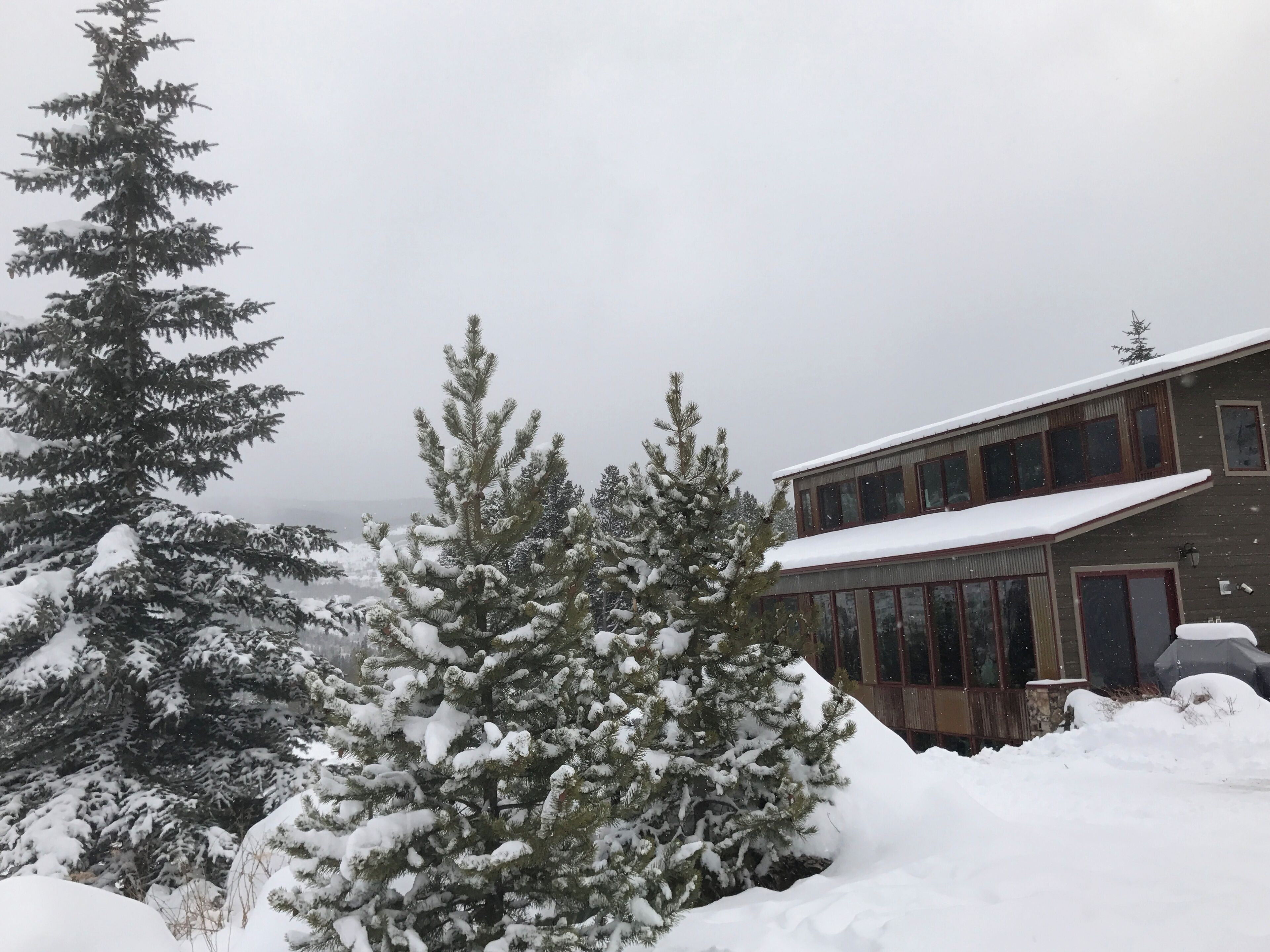 A snow-covered landscape with a building featuring large windows and a sloped roof.