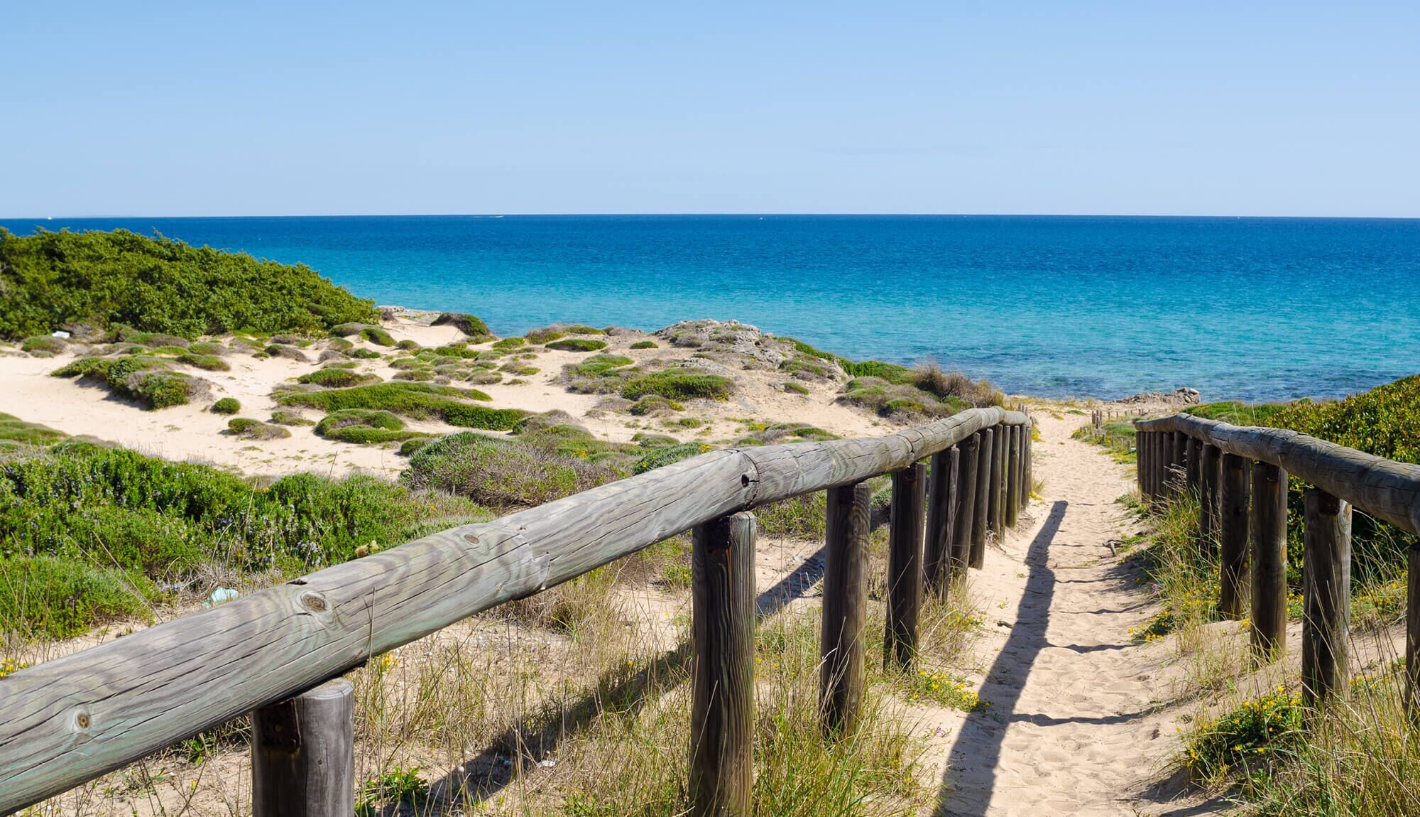 Un sentier en bois mène à une plage où l’eau est d’un bleu limpide et où la végétation est luxuriante.