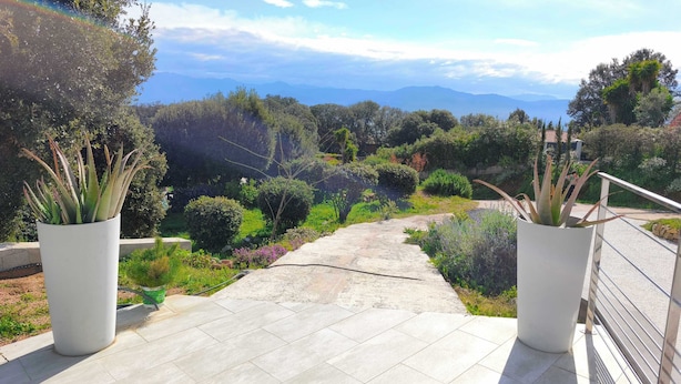 A pathway leading to a scenic overlook with potted plants on either side.