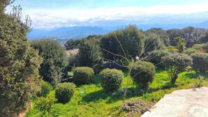 A lush green landscape with a variety of trees and shrubs, a clear sky, and distant mountains.