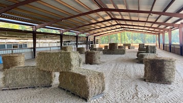 Outdoor banquet area