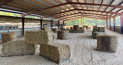 Lovely Farm Cabin Experience