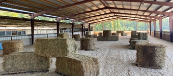 Lovely Farm Cabin Experience