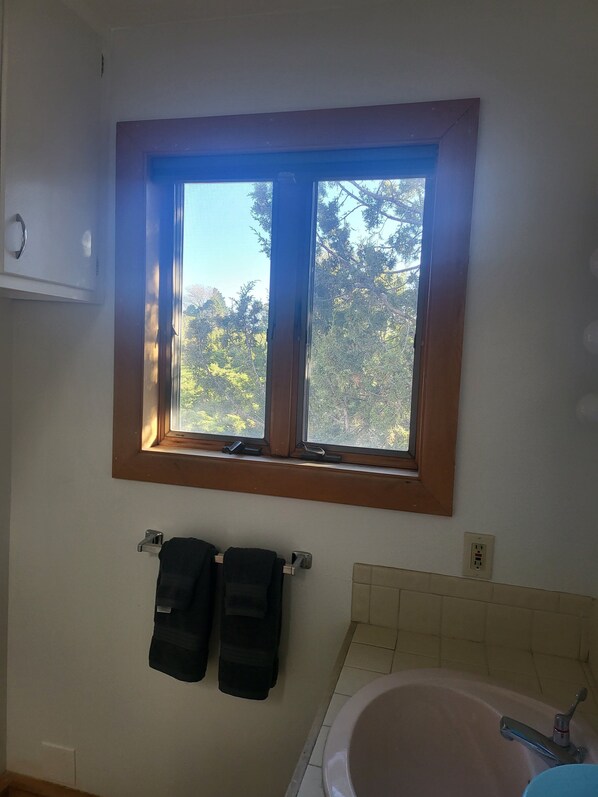 Serviettes fournies, savon, papier toilette