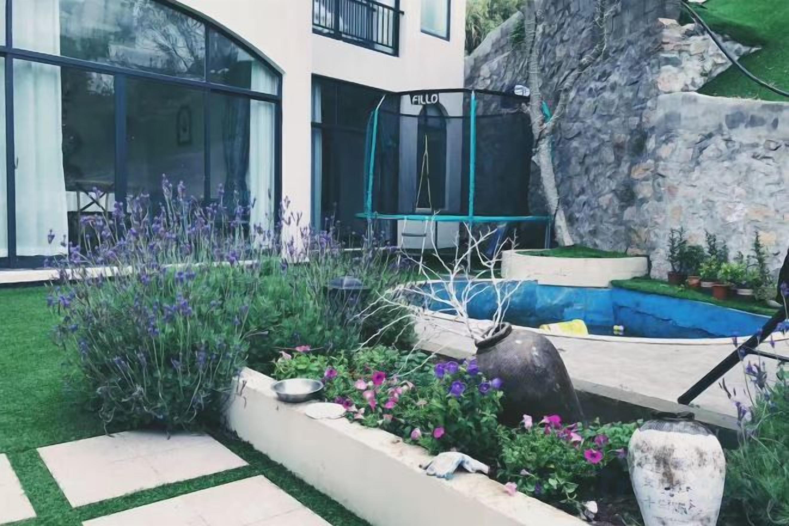 A modern house with a swimming pool, a garden with various plants, and a large rock feature.