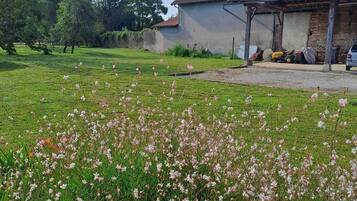 Áreas de la propiedad