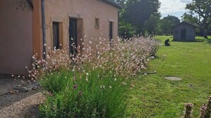 Een rustiek gebouw met drie ramen, omgeven door een verzorgde tuin met diverse bloeiende planten.