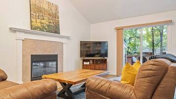 Télévision, cheminée, livres, espaces bureaux