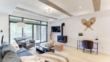 TV connectée, cheminée, livres