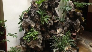 Jardim de pedras com diversas plantas e uma pequena construção de madeira.