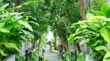 Garden view