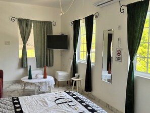 Family Studio Suite, Mountain View | Hypo-allergenic bedding, blackout drapes, iron/ironing board, free WiFi - Thebreeze2022 (May Pen)