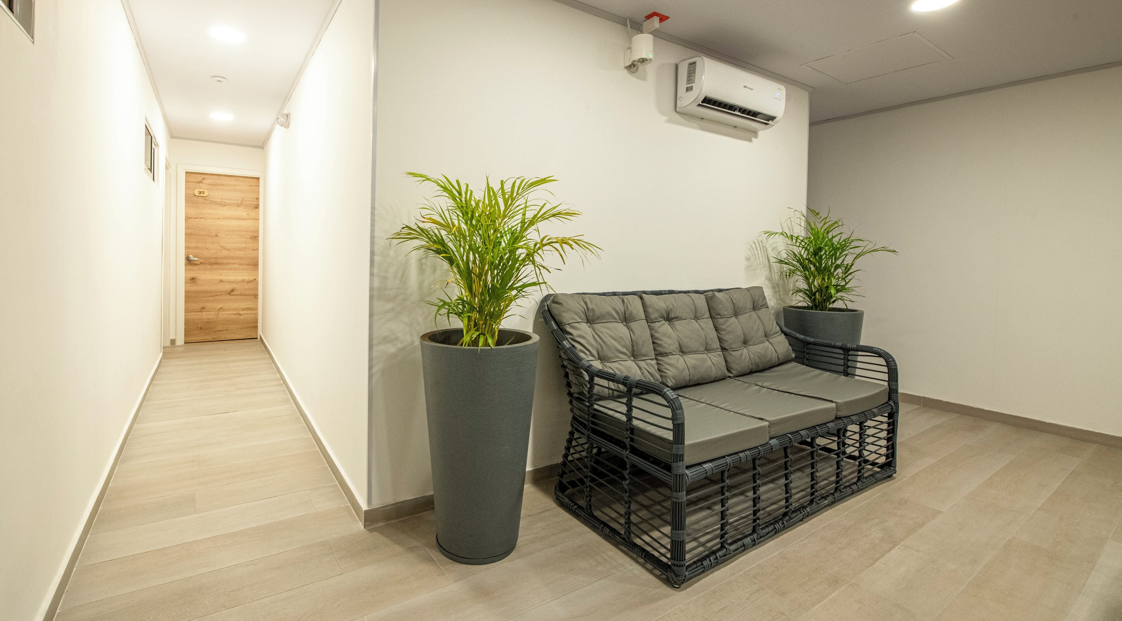 Un pasillo moderno con una puerta de madera, un sofá gris y dos plantas en macetas.