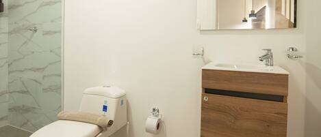 A bathroom with a toilet, a shower, a sink, and a mirror.