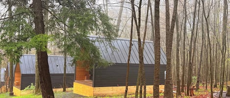 A cabin with a sloped roof, surrounded by tall trees and a forest floor covered with fallen leaves.