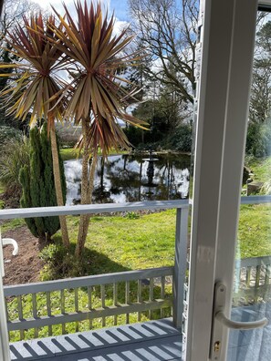 المنطقة المحيطة بالمنشأة