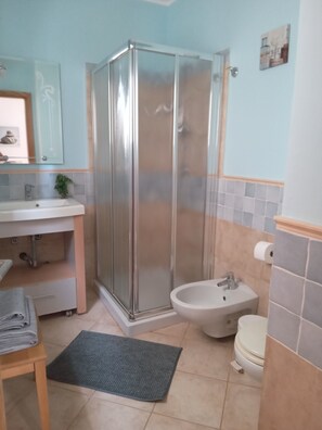 Shower, hair dryer, bidet, towels