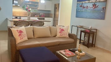 Älytelevisio, kirjoja