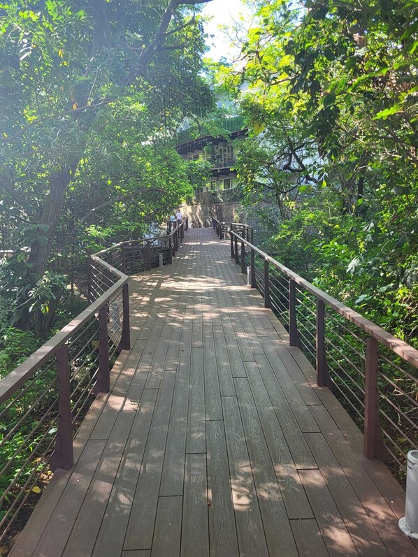 Property grounds - Perfect blend of style, comfort and nature in Santa Ana, San Jose, Costa Rica (Santa Ana)