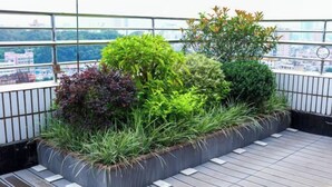 Un jardin sur le toit, agrémenté de diverses plantes et doté d’une terrasse en bois.