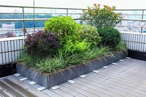 Un jardín en la azotea con diversas plantas y una terraza de madera.