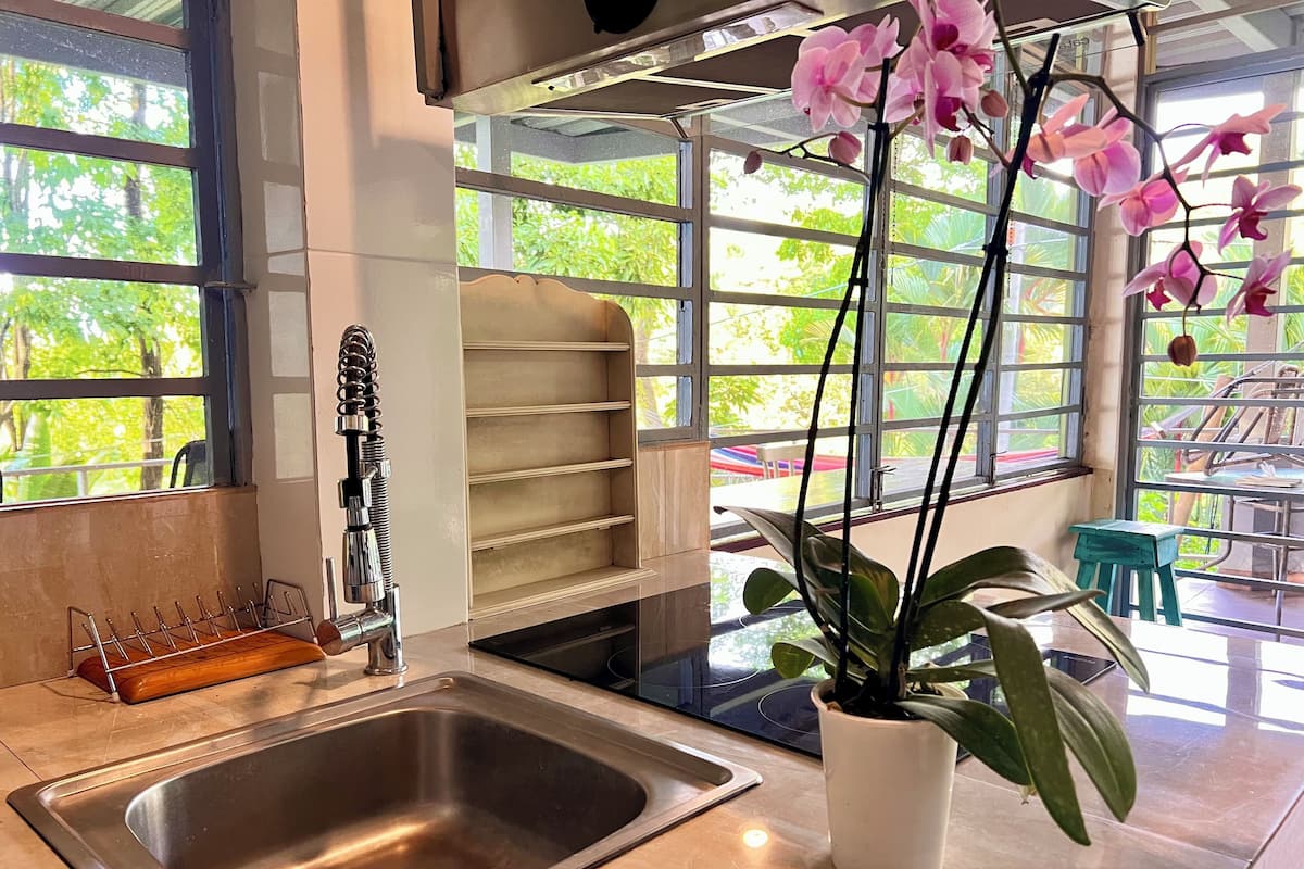 A modern kitchen with a stainless steel sink, a potted plant, and a window with a view of greenery.