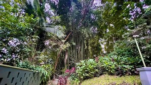 A garden pathway with steps leading to a wooden bench, surrounded by lush greenery and flowering plants. - Zen Zaru Beautiful Hidden Hotel (Quepos)