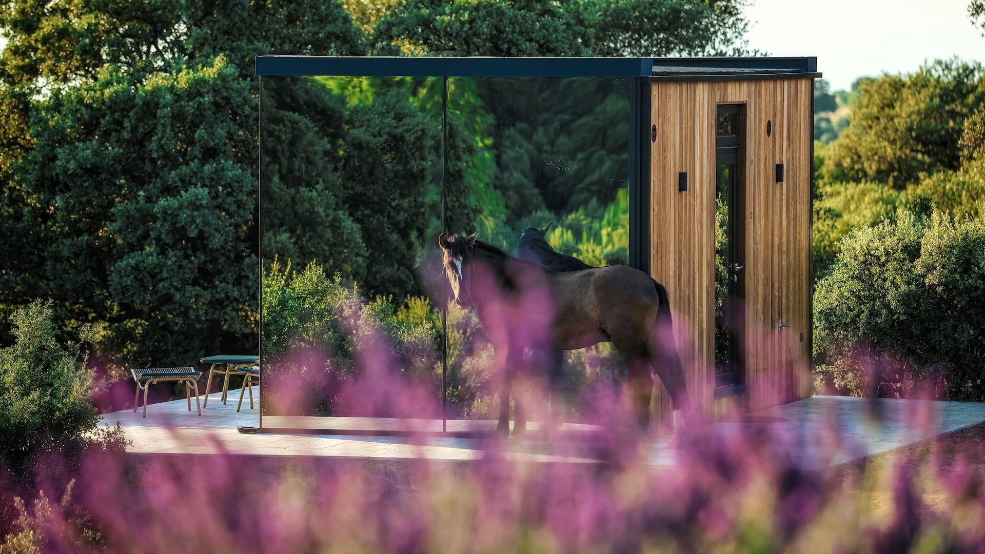A stable with a horse inside, surrounded by greenery.