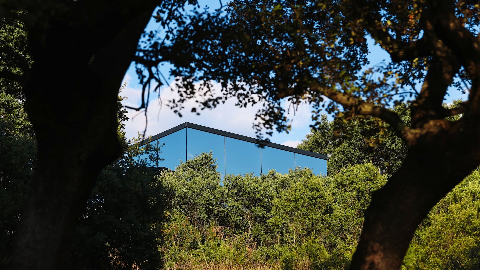Un bâtiment moderne à la façade vitrée réfléchissante, entouré d’une végétation luxuriante.
