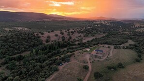 Vista aerea di un paesaggio rurale con campi, alberi sparsi e un piccolo edificio dotato di pannelli solari.