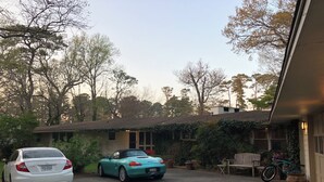 A residential driveway with two cars parked, a house with ivy-covered walls, a bench, and a cat walking on the grass. - Charming 1-bedroom private suite. Easy walk to beach and boardwalk. (Virginia Beach)