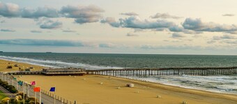 Charming 1-bedroom private suite. Easy walk to beach and boardwalk.