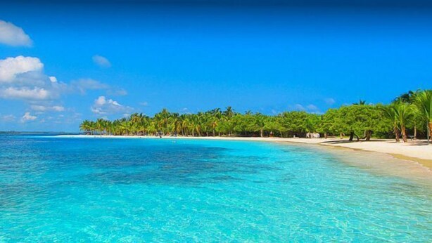 A beach with clear turquoise water, palm trees, and a sandy shore. - Koral OHS Hotel & Marina en Tucacas (Tucacas)