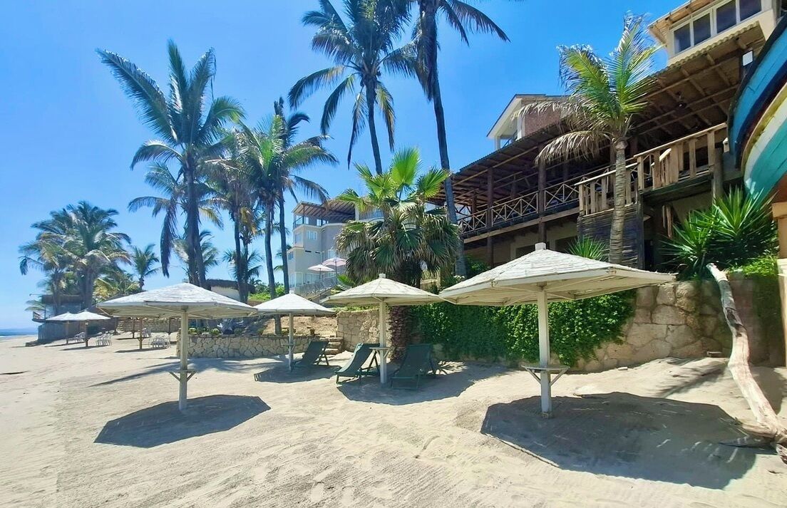 A beachside resort with sun umbrellas, lounge chairs, and palm trees.