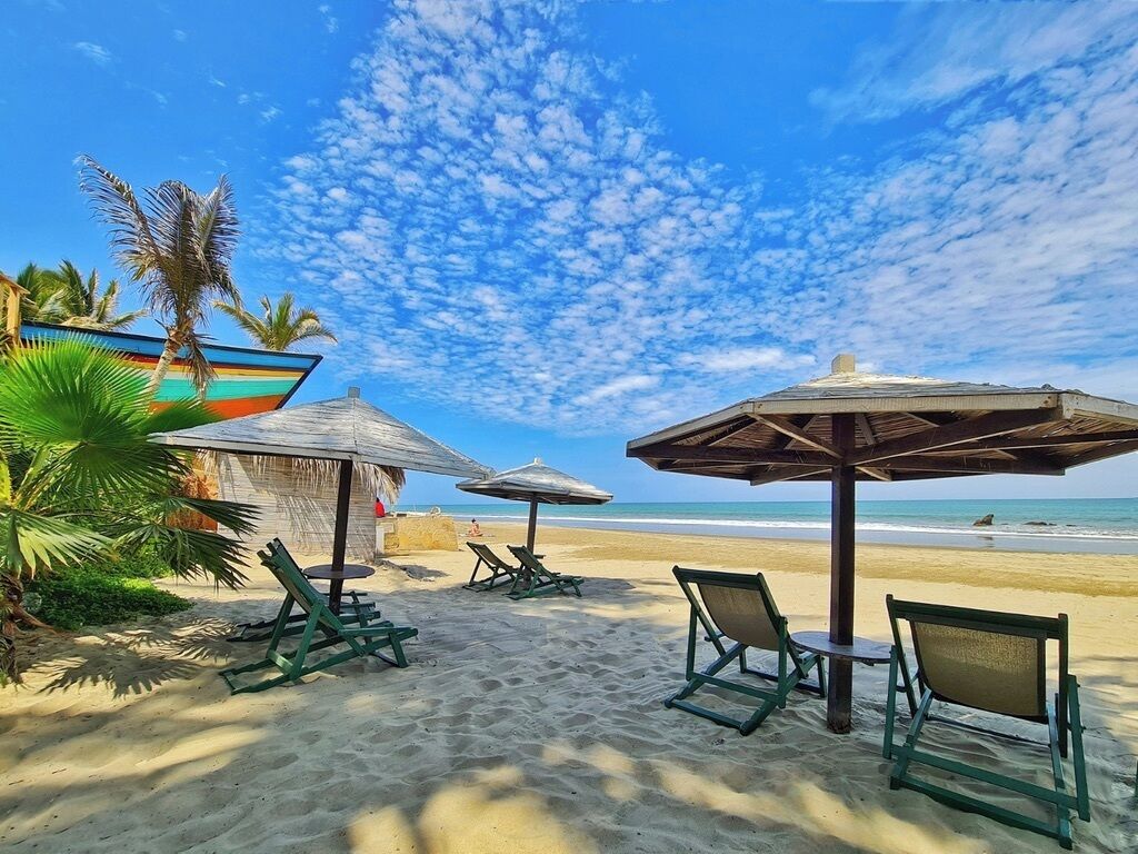A beach with lounge chairs and umbrellas, palm trees, and a clear sky.