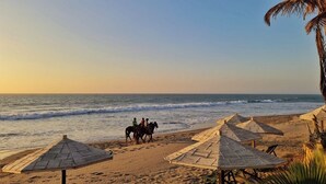 A beach with horse-drawn carriages, palm trees, and beach umbrellas. - Mancora Beach Hotel  (Máncora)