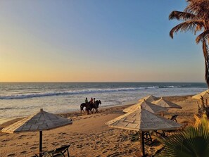 Beach/ocean view - Mancora Beach Hotel  (Máncora)