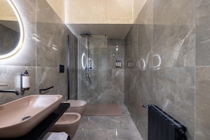 Shower, hair dryer, bidet, towels