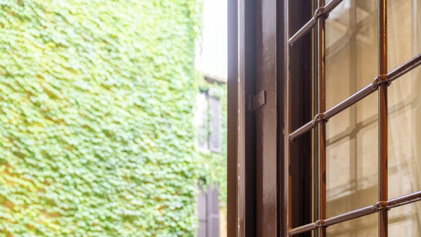 A view through a window with metal bars, a brick floor, a covered outdoor seating area, and a wall covered in green ivy. - Pantheon Urbes Collection (Roma)