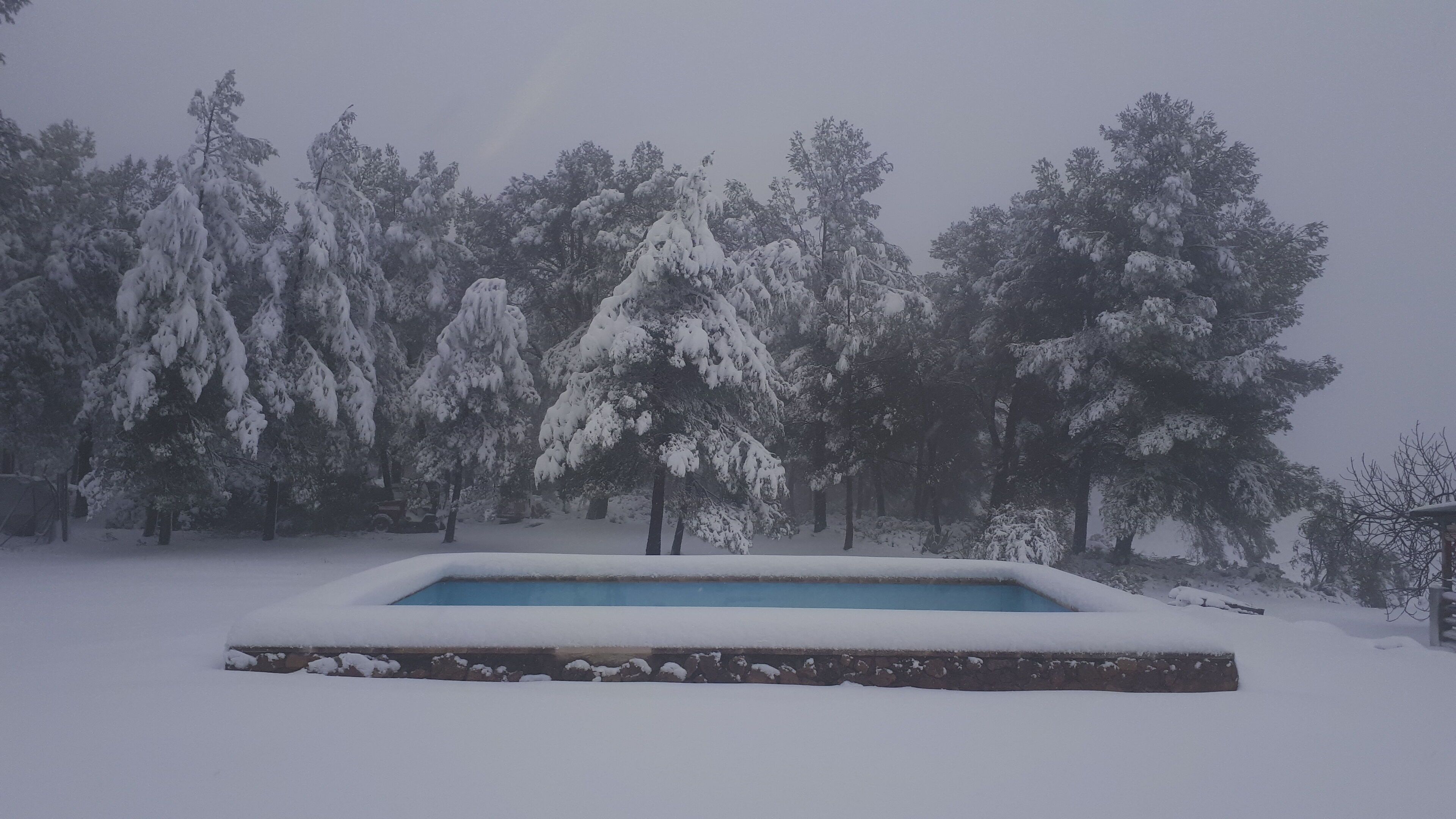 House, 4 Bedrooms, Private Pool, Garden View | Property grounds